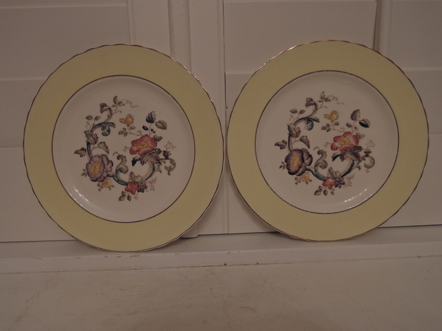 Vintage Pair of Mason's Yellow Floral Botanical Ironstone 9" Plates