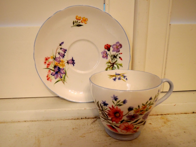 Vintage Shelley Wild Flowers Cup & Saucer Pale Blue Teacup