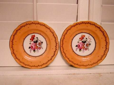 Antique Coalport Hand Painted Peach Border Pair of 8" Plates